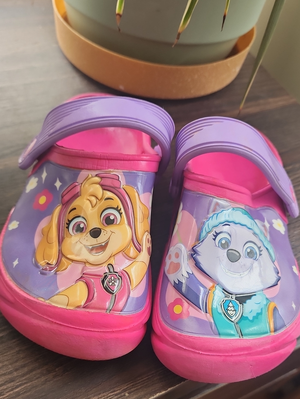 Paw Patrol Pink & Purple Kids Clogs - Skye & Everest